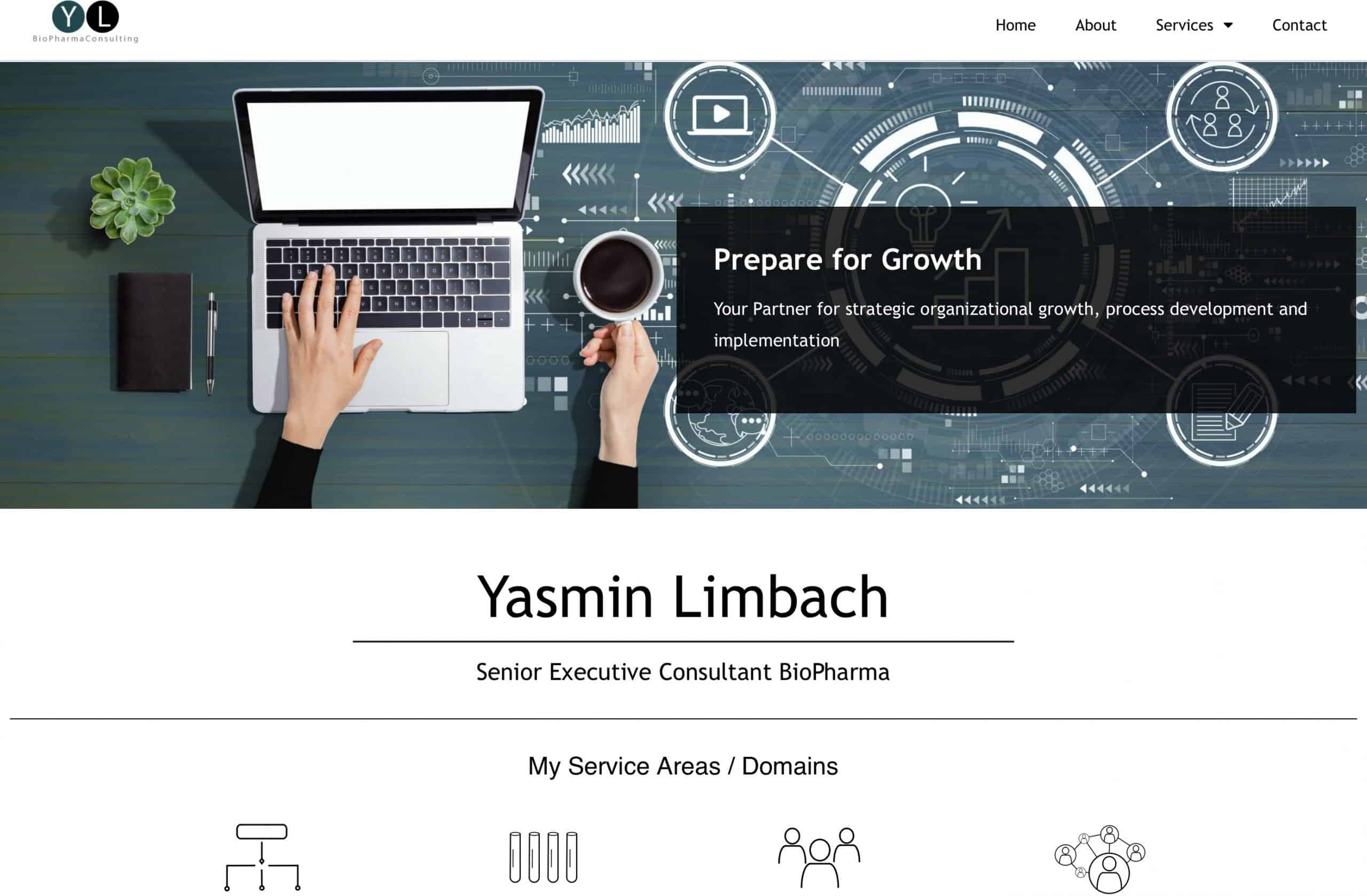 Read more about the article y-limbach.com