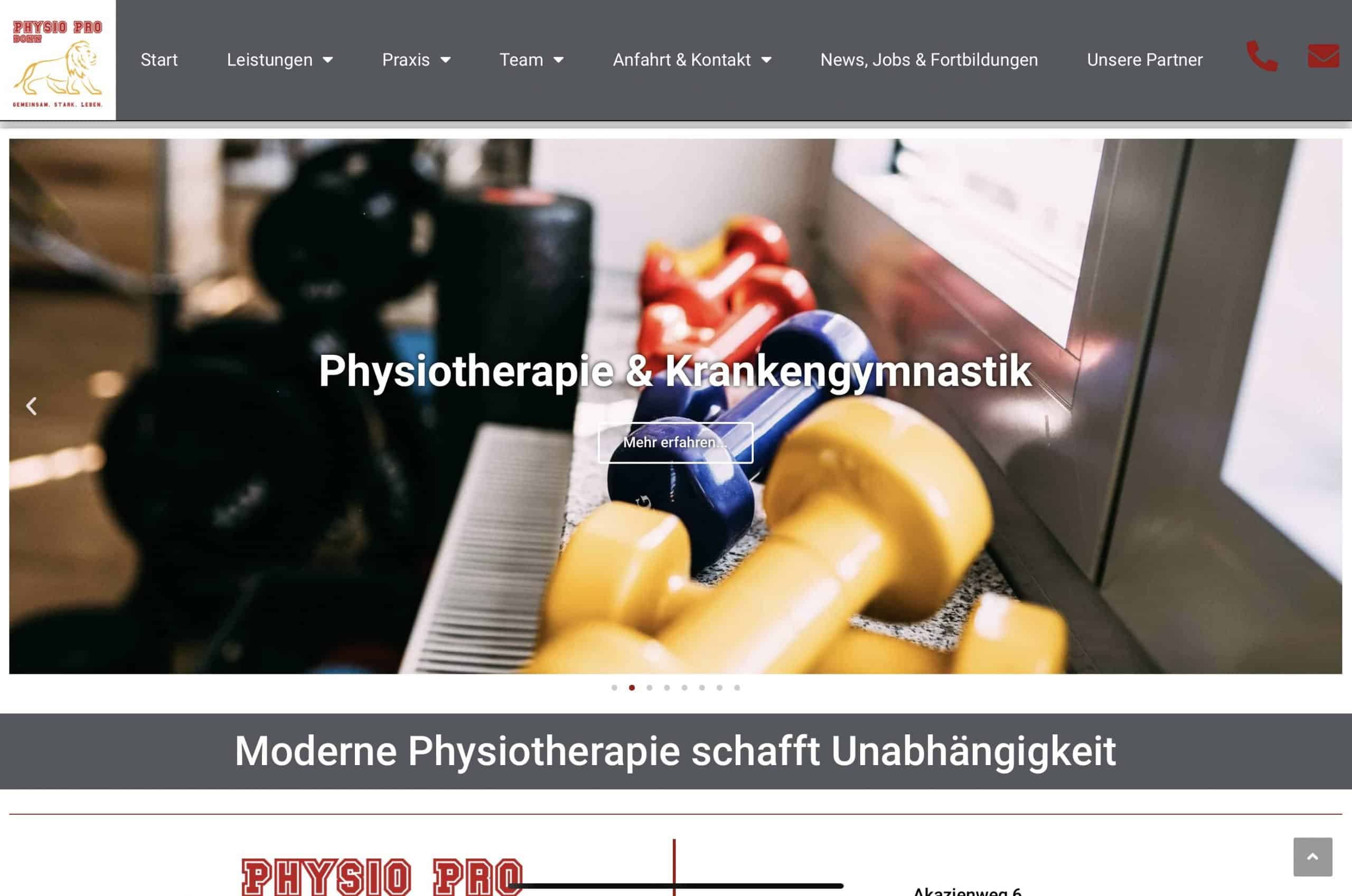 Read more about the article physio-bonn.com